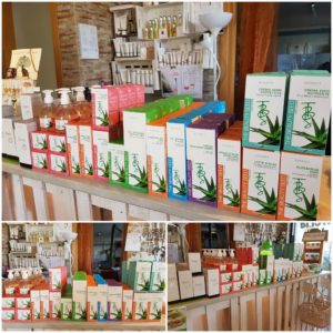 14438860_1122578624497366_51267764_o