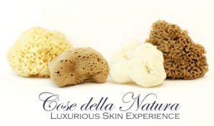 Cose-della-natura-logo