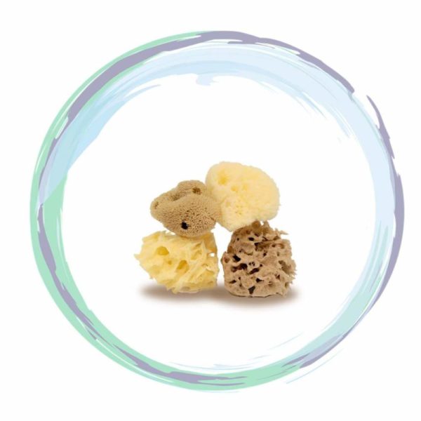 minisize cose della natura