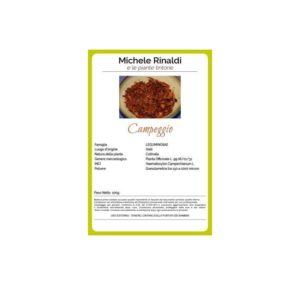 campeggio michele rinaldi