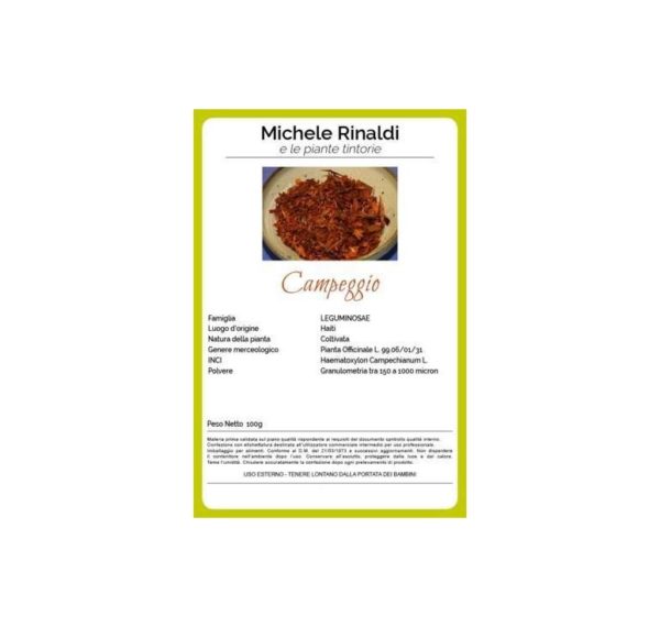 campeggio michele rinaldi